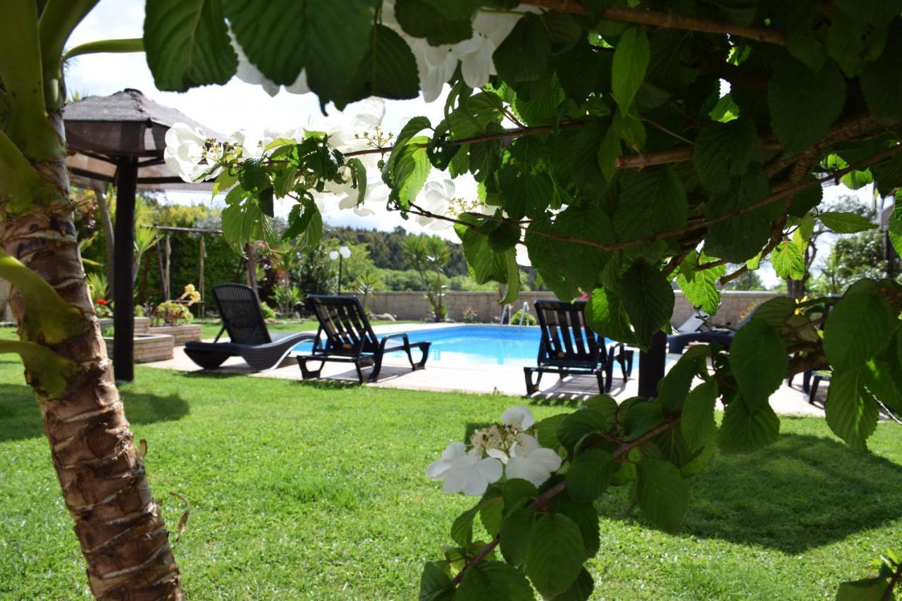 Alagoas4Family - Country House Arouca Esterno foto